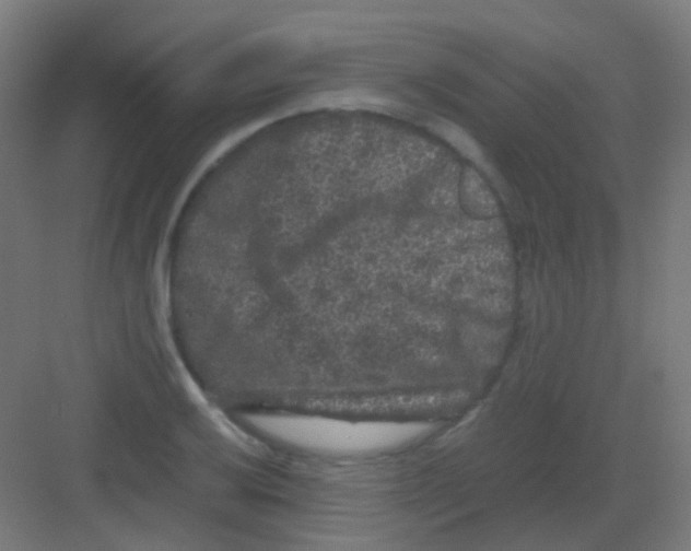 X0000081391032200702090032