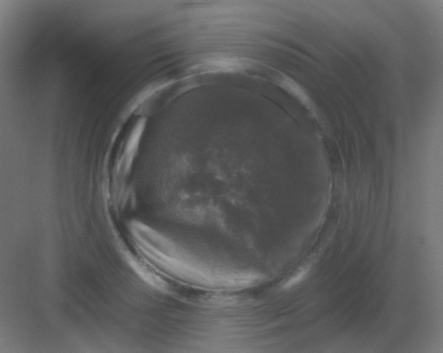 X0000081391034200702090032