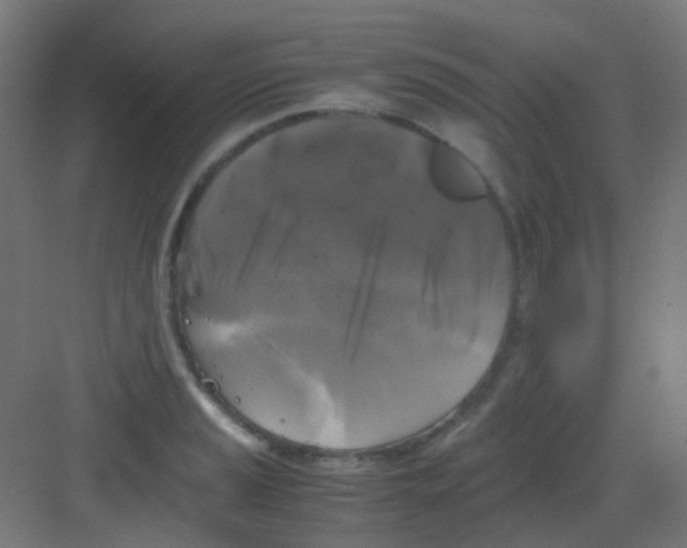 X0000081391037200702090032