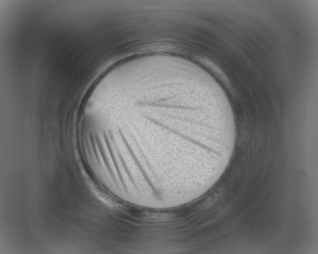 X0000081391039200702090033