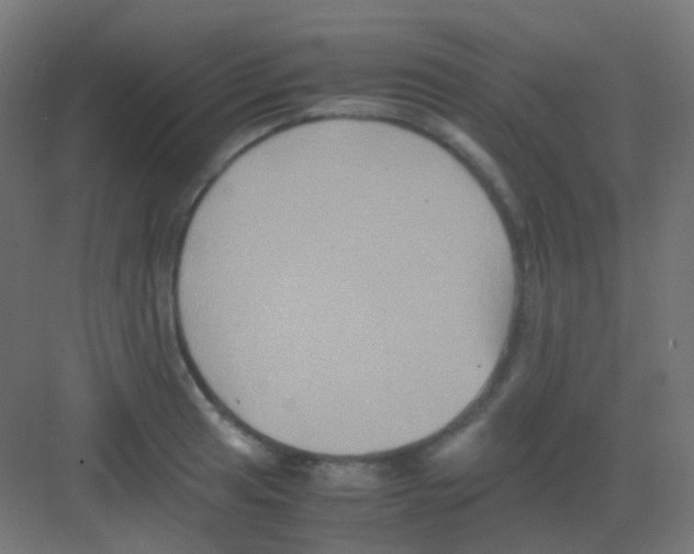 X0000081391041200702090033