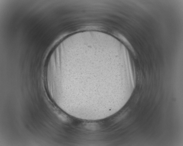 X0000081391043200702090033