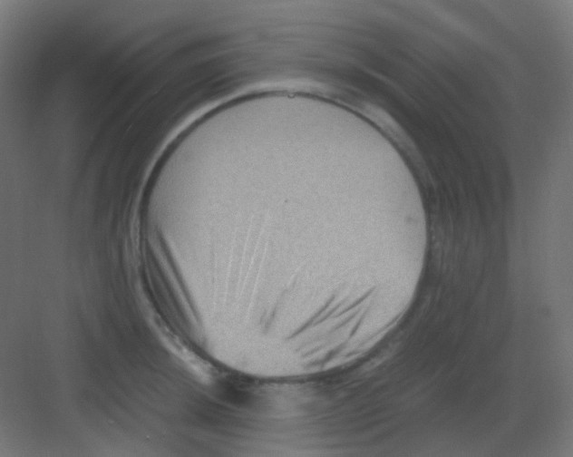 X0000081391044200702090033