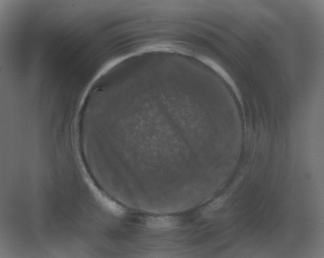 X0000081391045200702090033