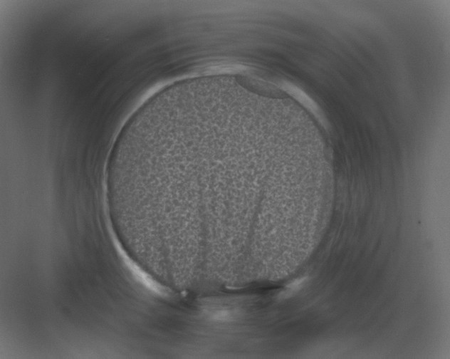 X0000081391047200702090033