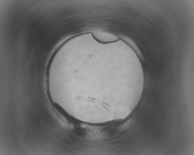 X0000081391051200702090033