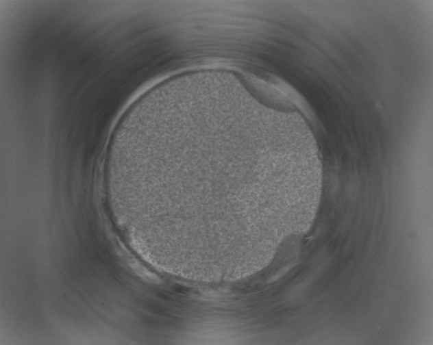 X0000081391052200702090033