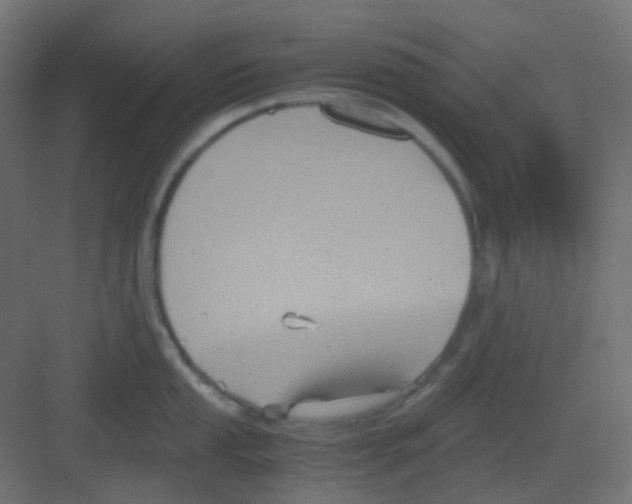 X0000081391053200702090033