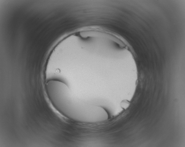 X0000081391054200702090033