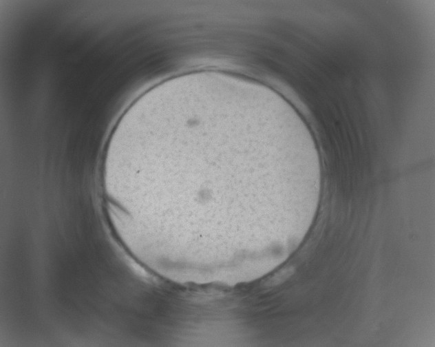 X0000081391056200702090033