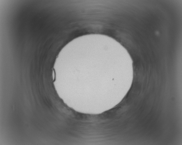 X0000081391057200702090032