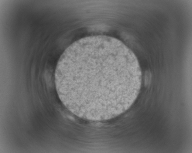 X0000081391059200702090032