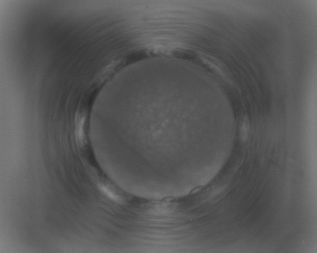 X0000081391060200702090032