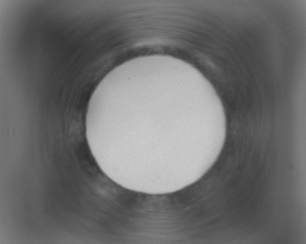 X0000081391062200702090032