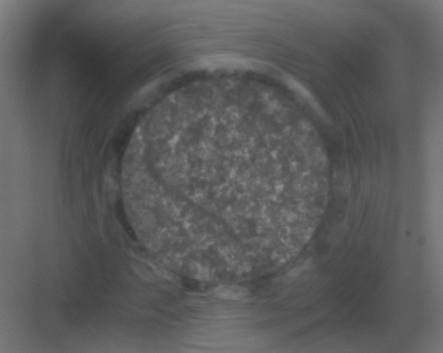 X0000081391063200702090032