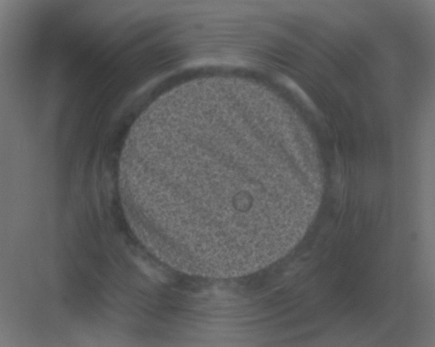 X0000081391064200702090032