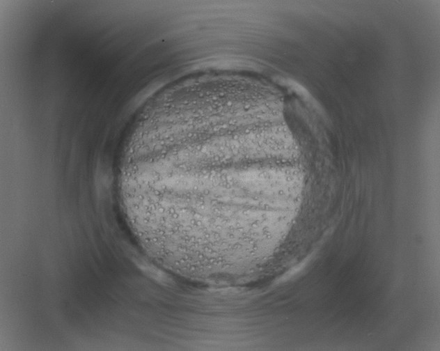 X0000081391065200702090032