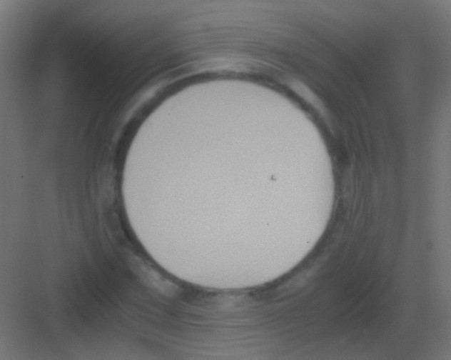 X0000081391067200702090032