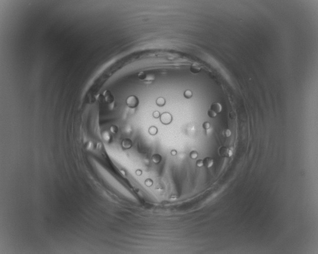 X0000081391069200702090032