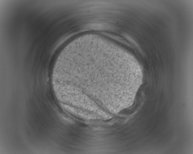 X0000081391070200702090032