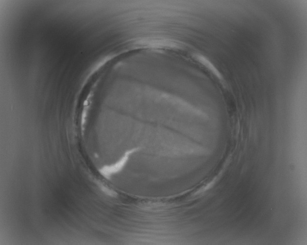 X0000081391071200702090032