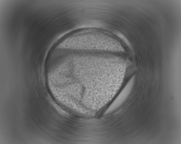 X0000081391072200702090032