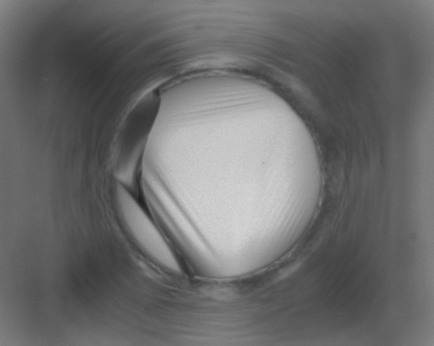 X0000081391073200702090032