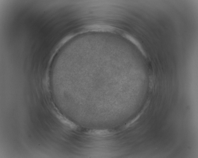 X0000081391074200702090032