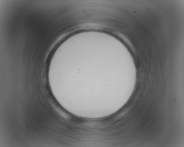 X0000081391075200702090032