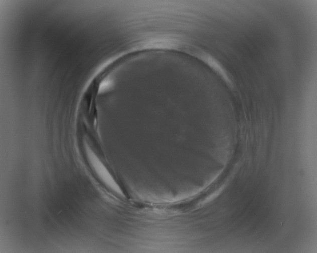 X0000081391077200702090032