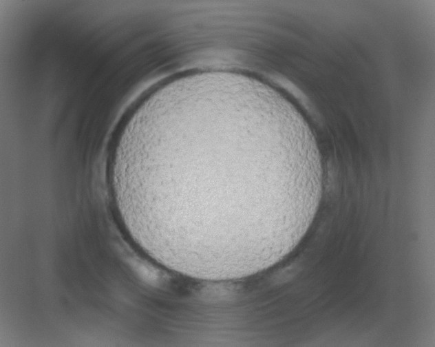 X0000081391078200702090032