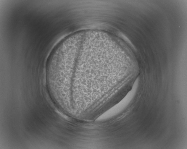 X0000081391079200702090032