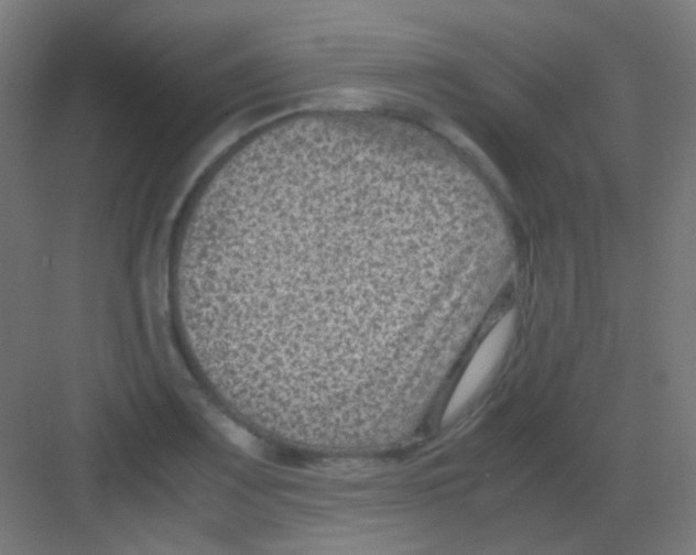 X0000081391083200702090032