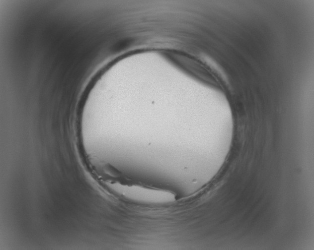 X0000081391085200702090032