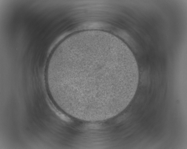 X0000081391086200702090032