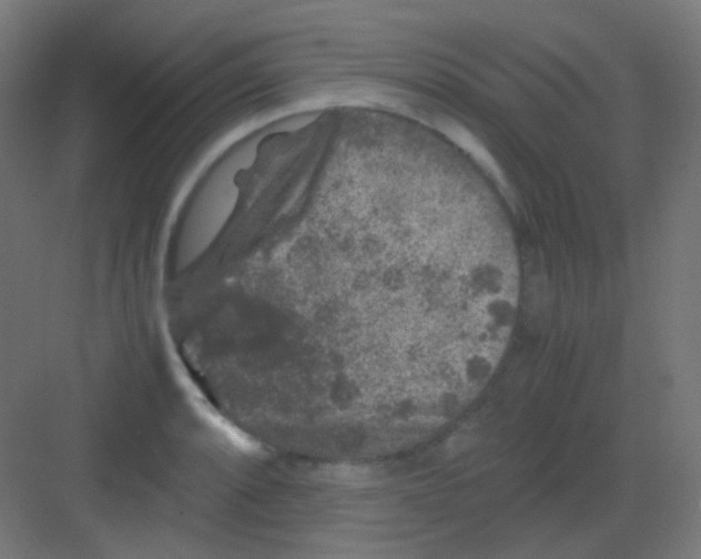 X0000081391088200702090031