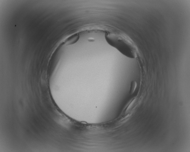 X0000081391089200702090031