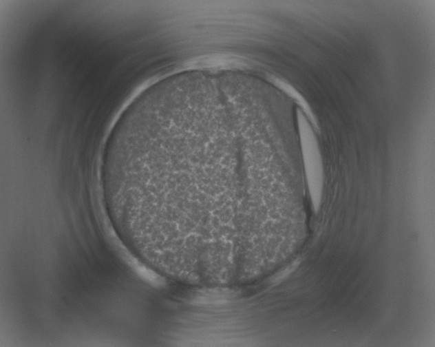 X0000081391091200702090031