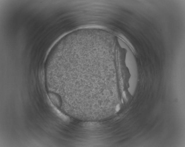 X0000081391092200702090031