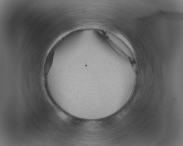 X0000081391093200702090031