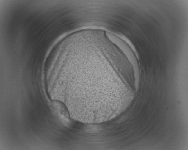 X0000081391096200702090031