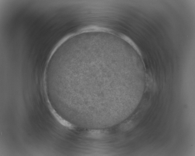 X0000081391098200702090031