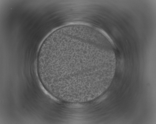 X0000081391100200702090031