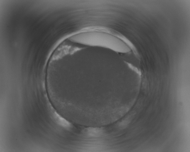 X0000081391102200702090031