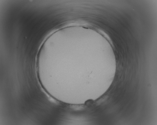 X0000081391103200702090031