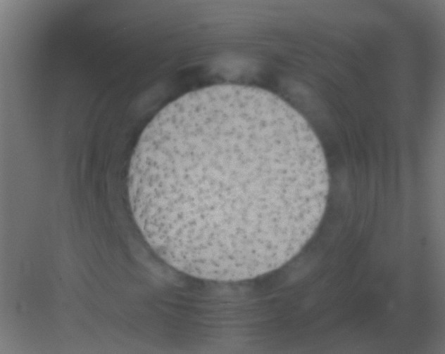 X0000081391105200702090030