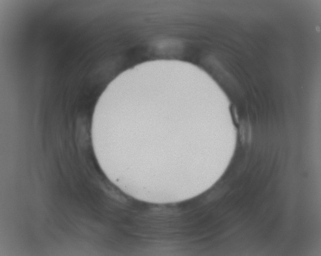 X0000081391107200702090030