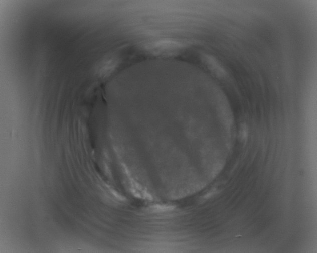 X0000081391108200702090030