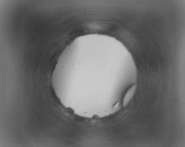 X0000081391109200702090030