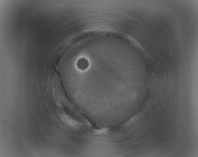 X0000081391110200702090030